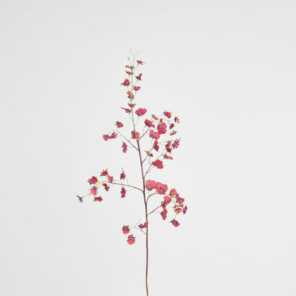 Dancing Orchid 93cm Burgundy