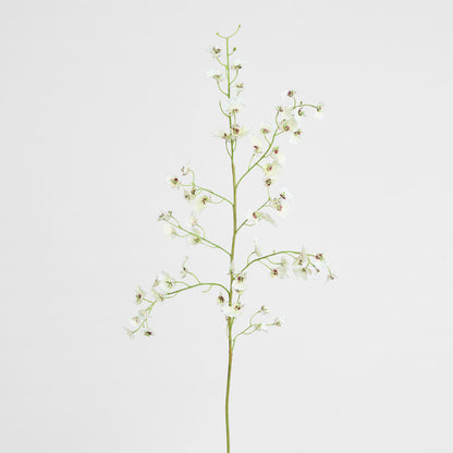 Dancing Orchid 93cm White