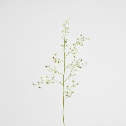 Dancing Orchid 93cm White