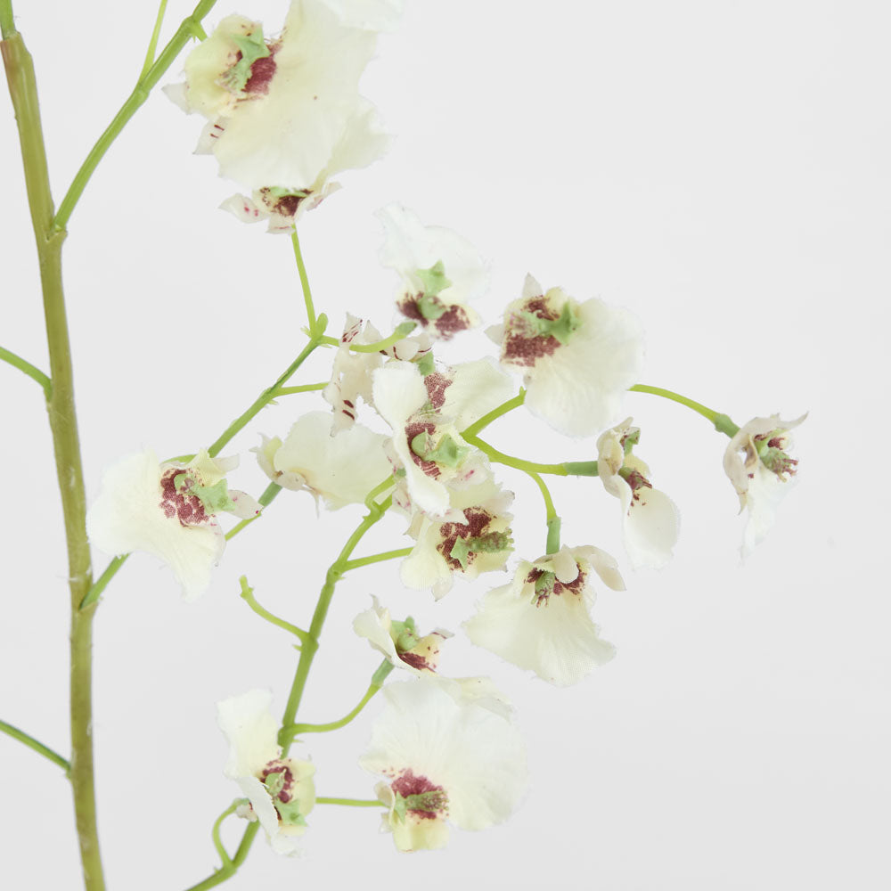 Dancing Orchid 93cm White