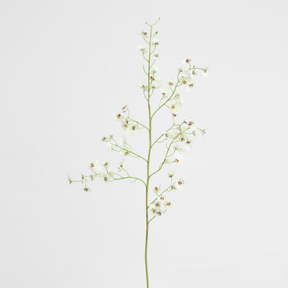 Dancing Orchid 93cm White