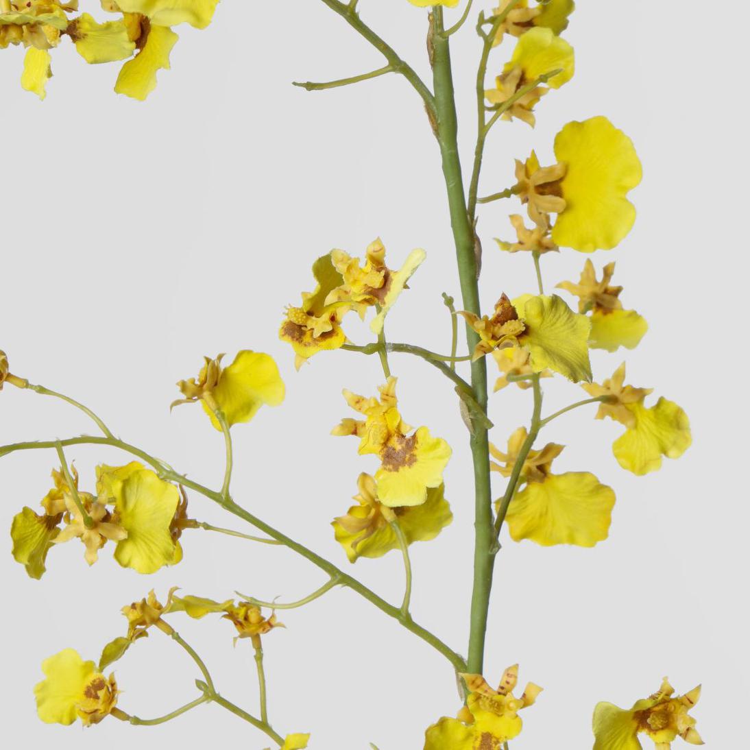 Dancing Orchid 93cm Yellow