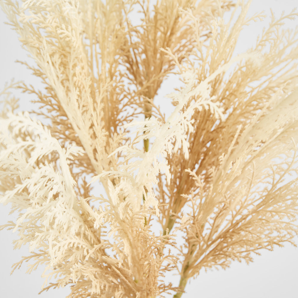 Natural Pampas Spray Stem with Leaves