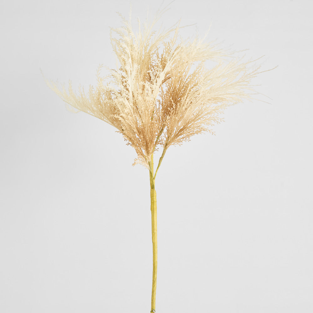 Natural Pampas Spray Stem with Leaves