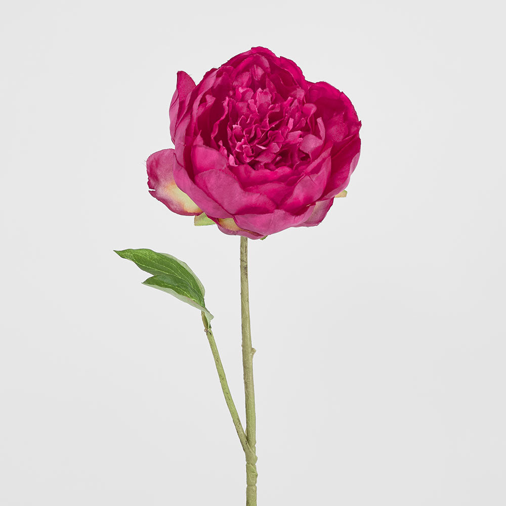 Peony Spray 60cm Fuchsia