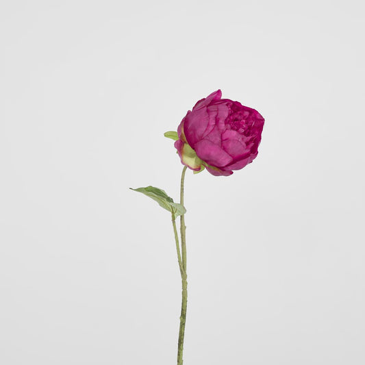 Peony Spray 60cm Fuchsia