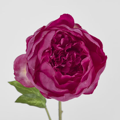 Peony Spray 60cm Fuchsia