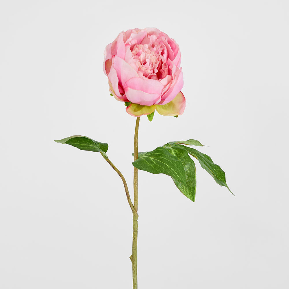 Peony Spray 60cm Pink