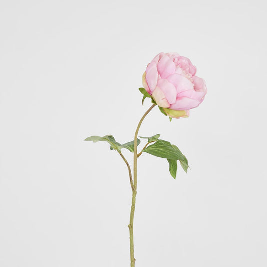 Peony Spray 60cm Pink