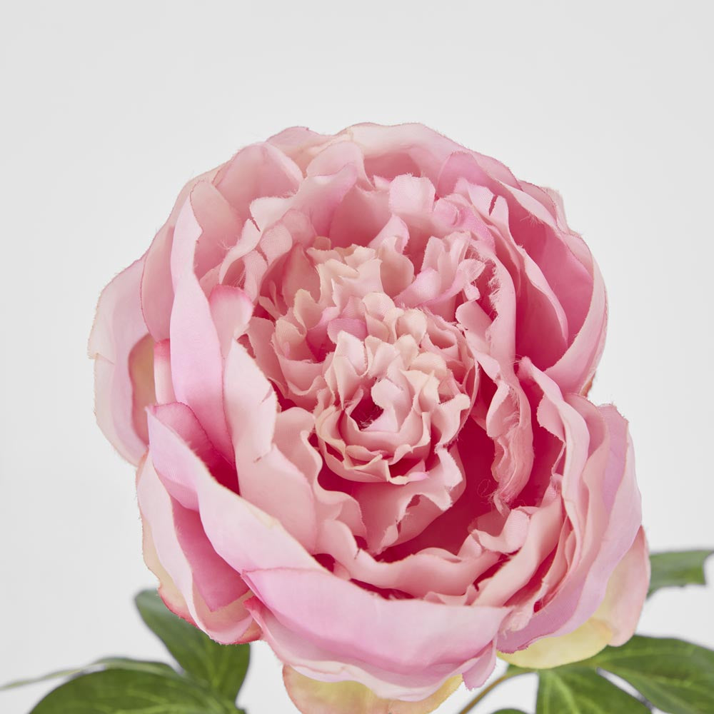 Peony Spray 60cm Pink
