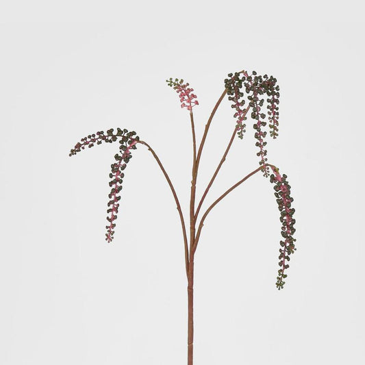 Phytolacca Americana Spray