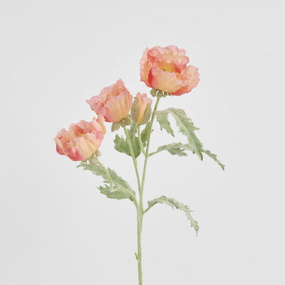 Poppy Stem 82cm Coral Pink