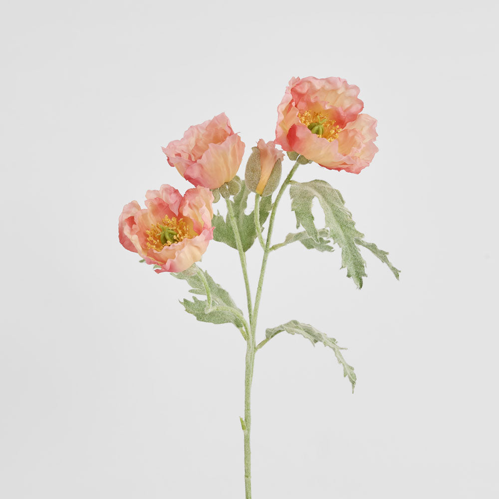 Poppy Stem 82cm Coral Pink