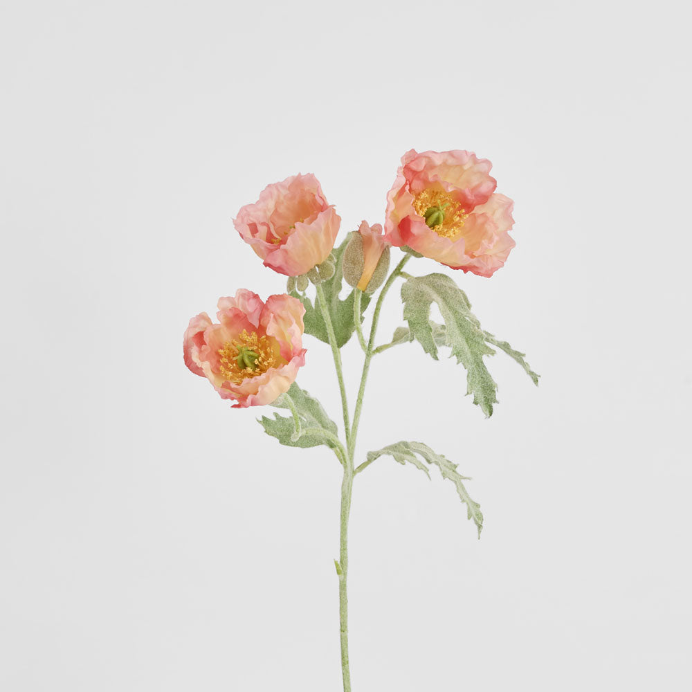 Poppy Stem 82cm Coral Pink