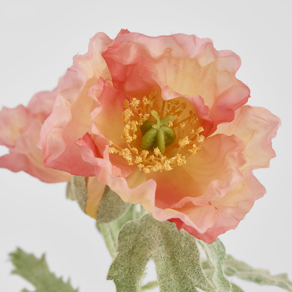 Poppy Stem 82cm Coral Pink