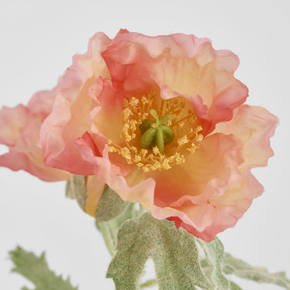 Poppy Stem 82cm Coral Pink