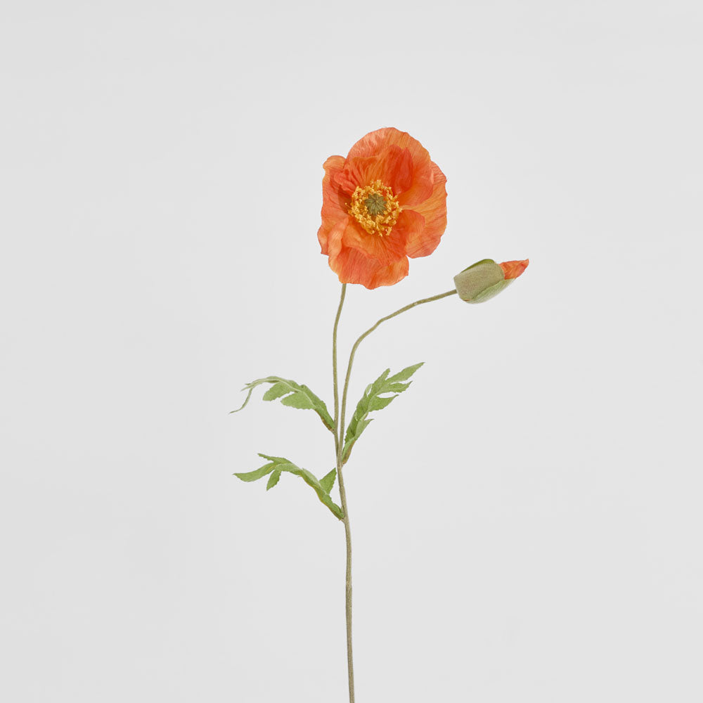 Poppy Stem 68cm Orange