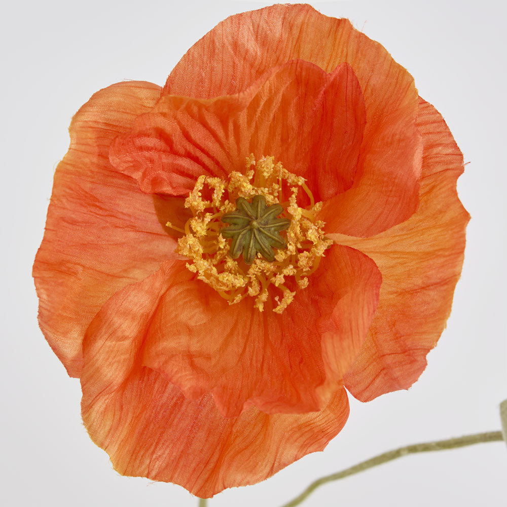 Poppy Stem 68cm Orange