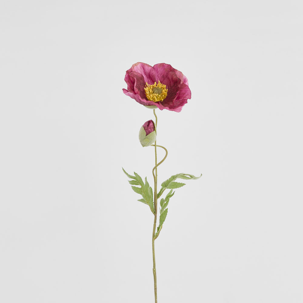 Poppy Stem 68cm Plum