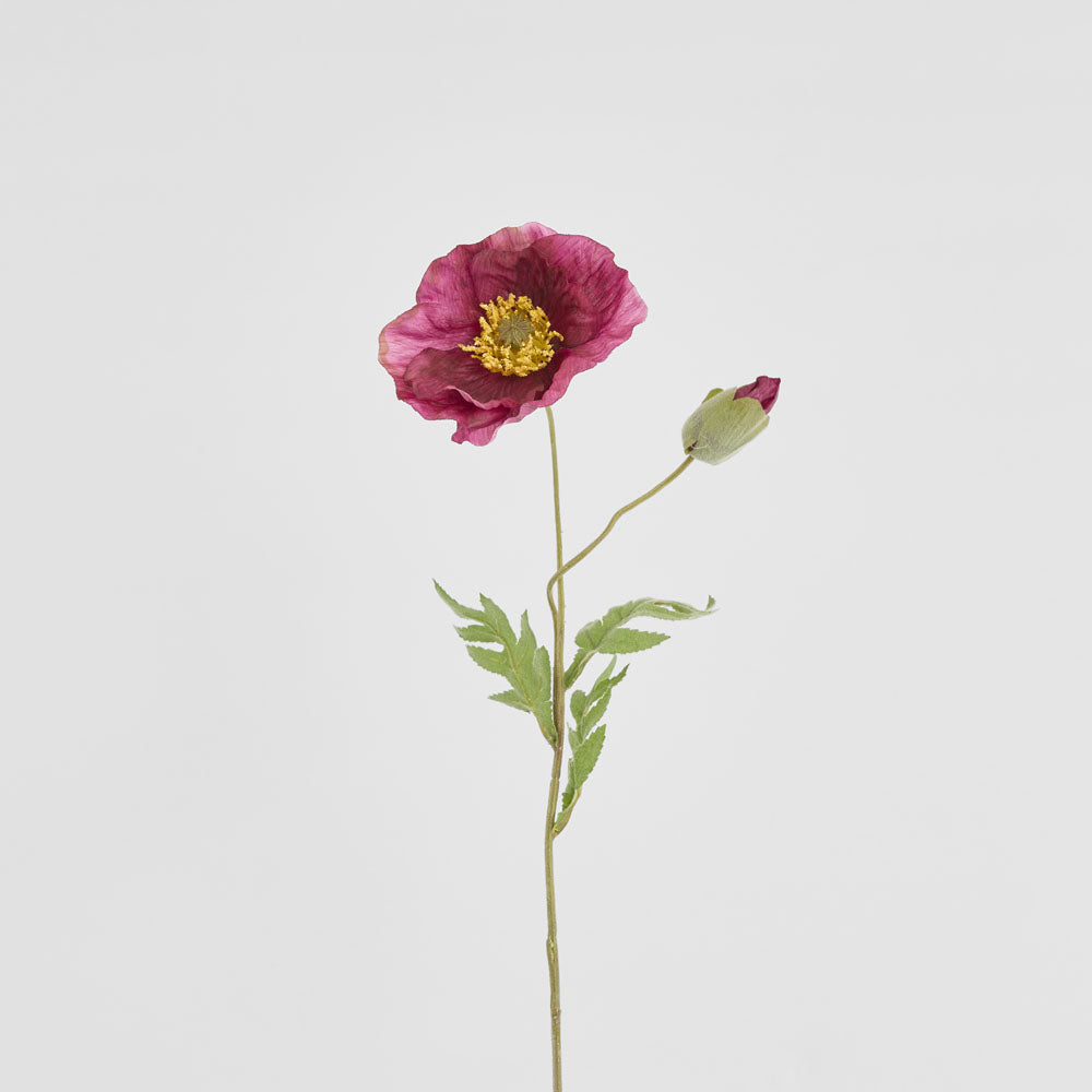 Poppy Stem 68cm Plum