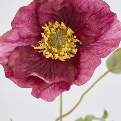 Poppy Stem 68cm Plum
