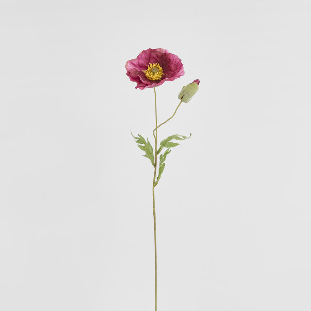 Poppy Stem 68cm Plum