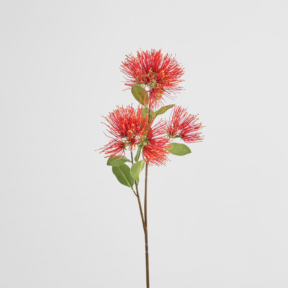 Protea Leucospermum 52cm Red