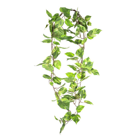 Pothos Garland 1.6m
