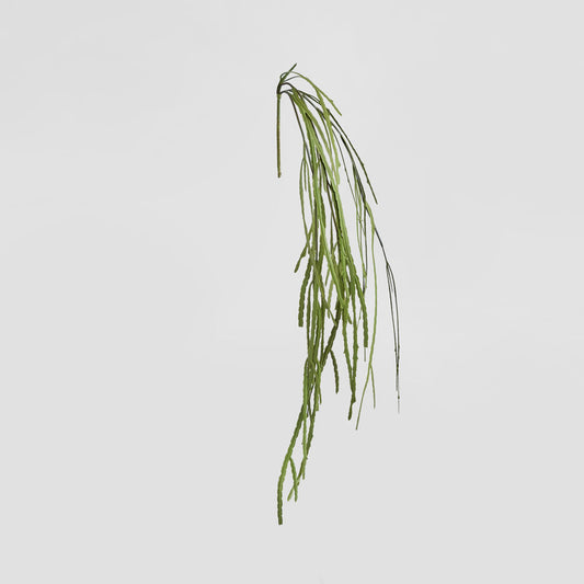 Pencil Hanging Bush 1.15m