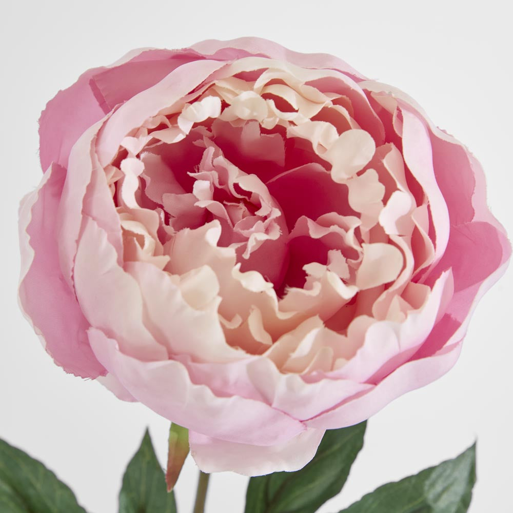 Peony Half Open 70cm Pink – Florabelle Living
