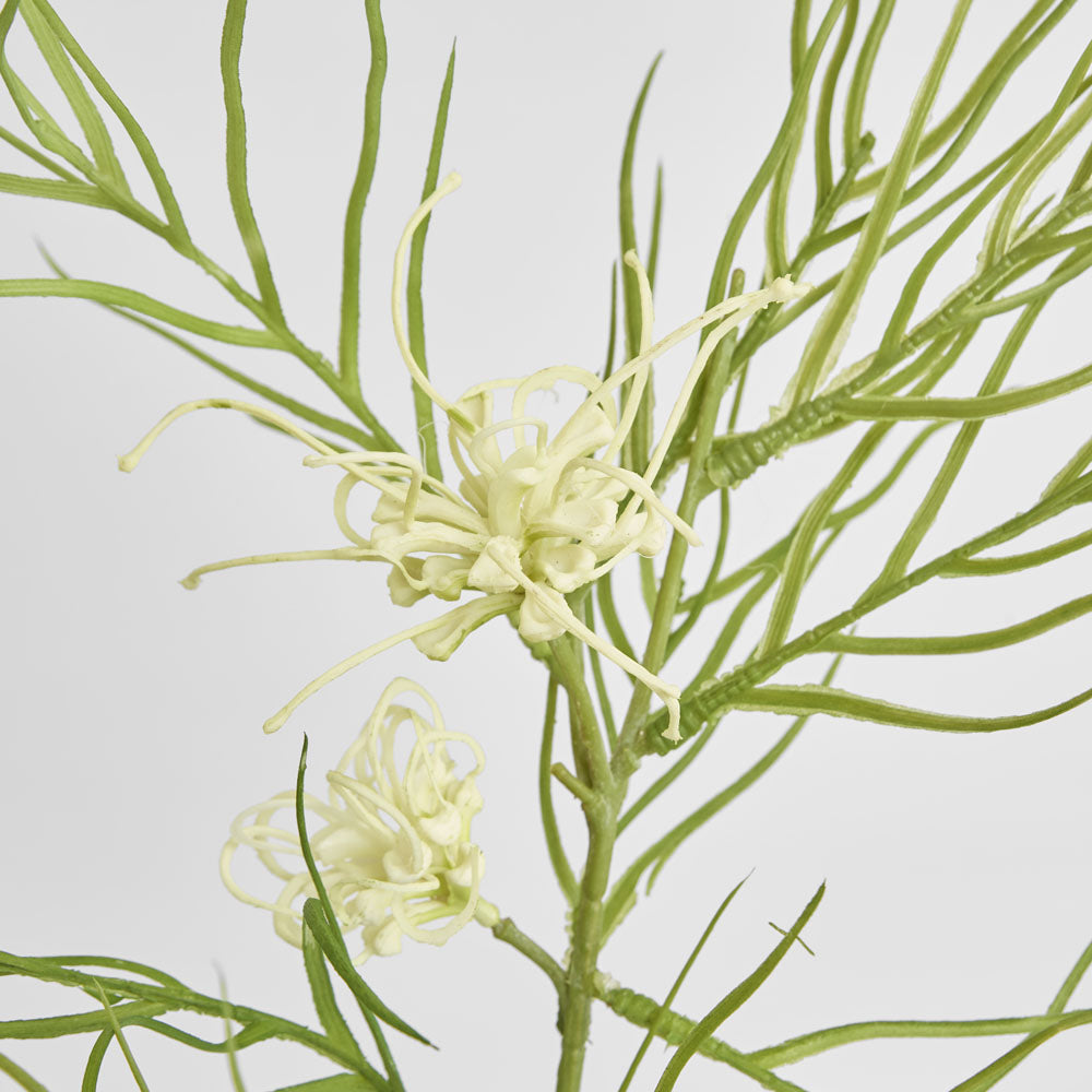 Protea Spider 90cm White