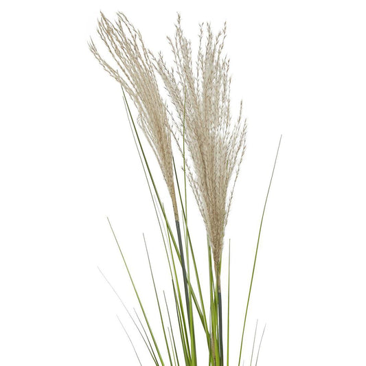 Pampas Grass Spray 1.1m