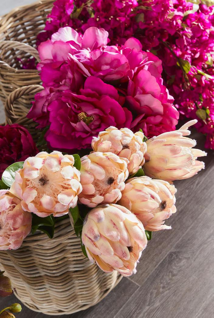 Protea Queen Stem 70cm Pink