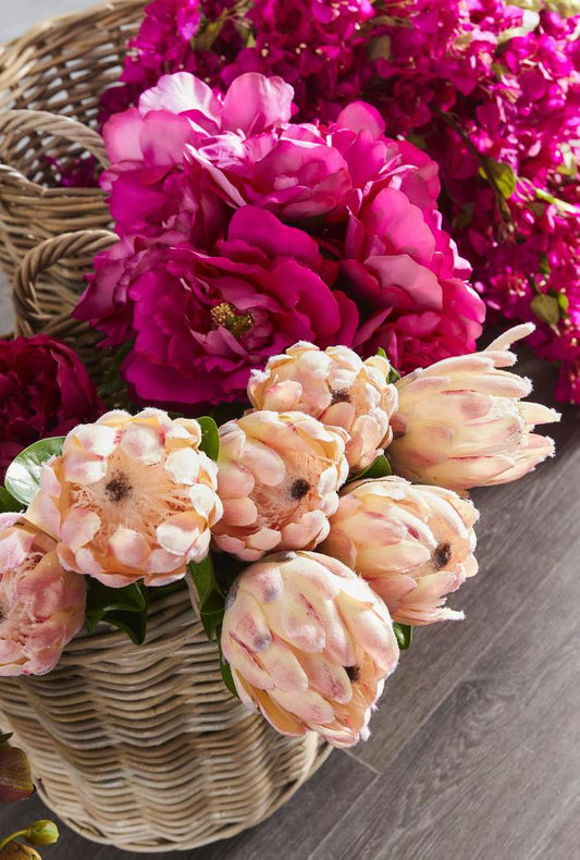 Protea Queen Stem 70cm Pink