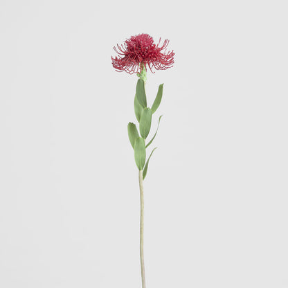 Pincushion Flower Stem 58cm Red