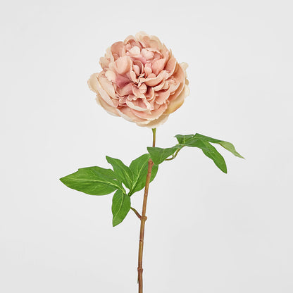 Dried Look Peony Stem 61cm Blush