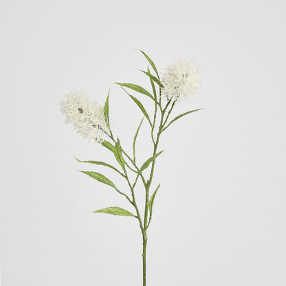 Protea Stem 2 Heads White