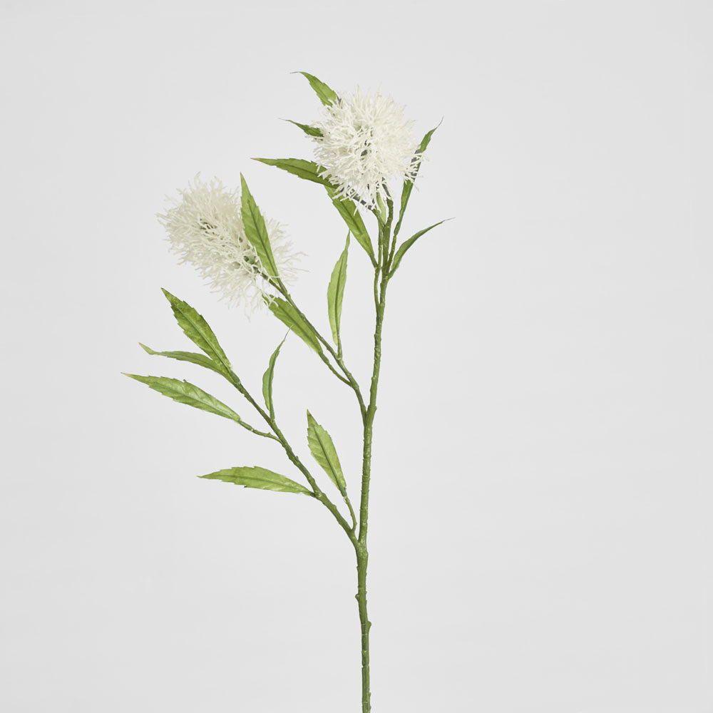 Protea Stem 2 Heads White