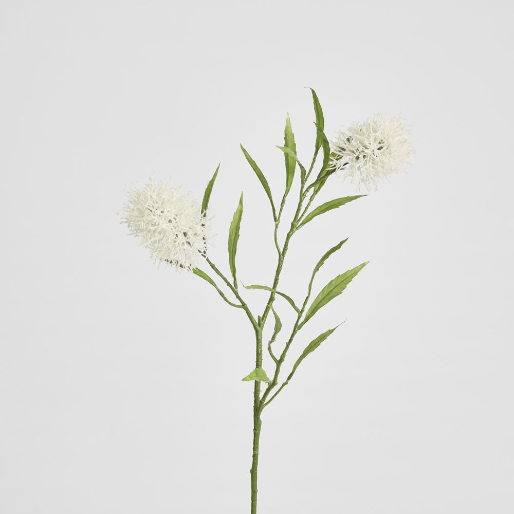 Protea Stem 2 Heads White
