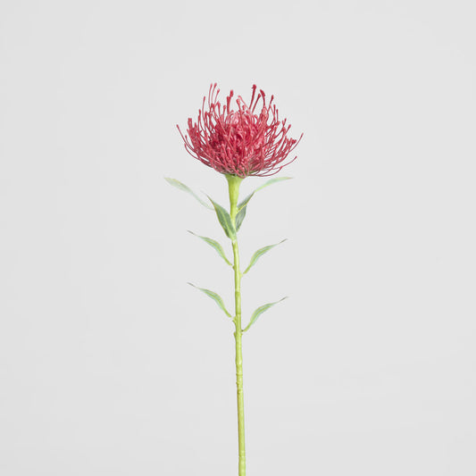 Pincushion Stem 63cm Red