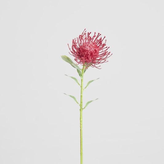 Pincushion Stem 63cm Red