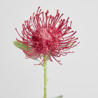 Pincushion Stem 63cm Red