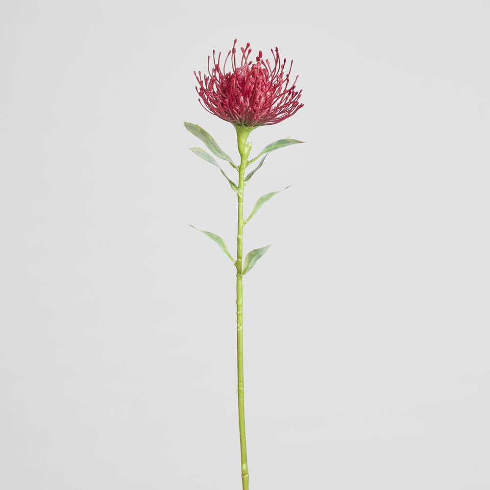 Pincushion Stem 63cm Red