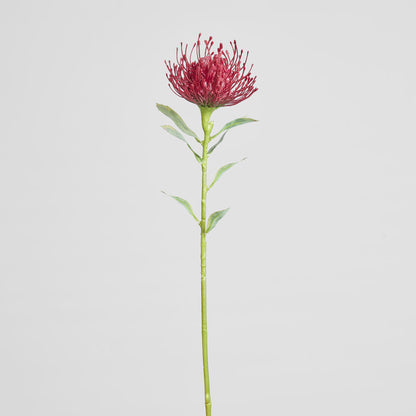 Pincushion Stem 63cm Red