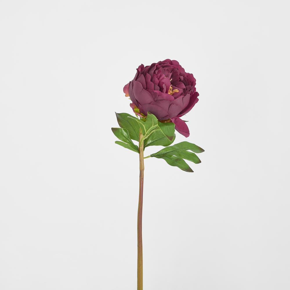 Peony Flower Real Touch Stem Dark Plum Large