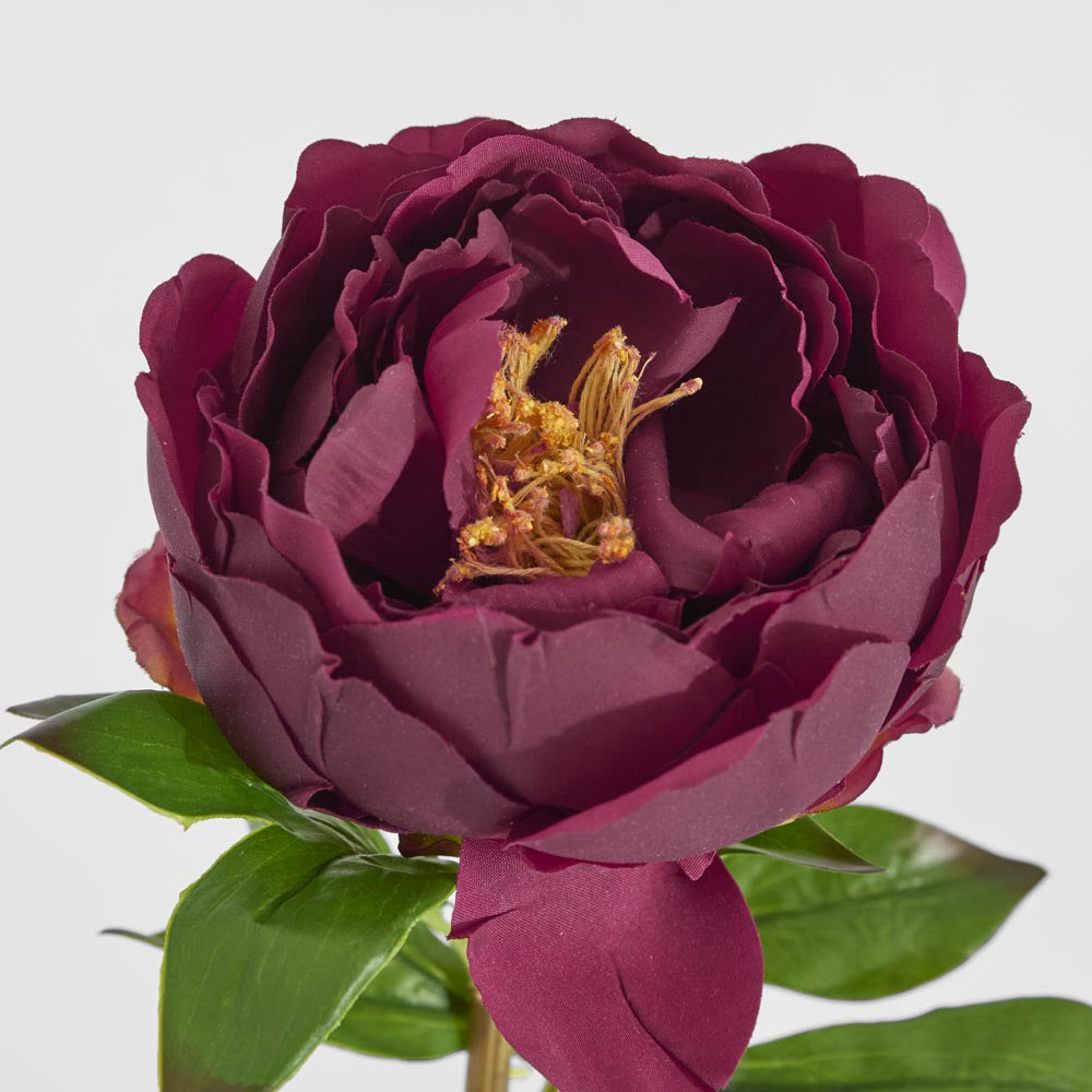 Peony Flower Real Touch Stem Dark Plum Large