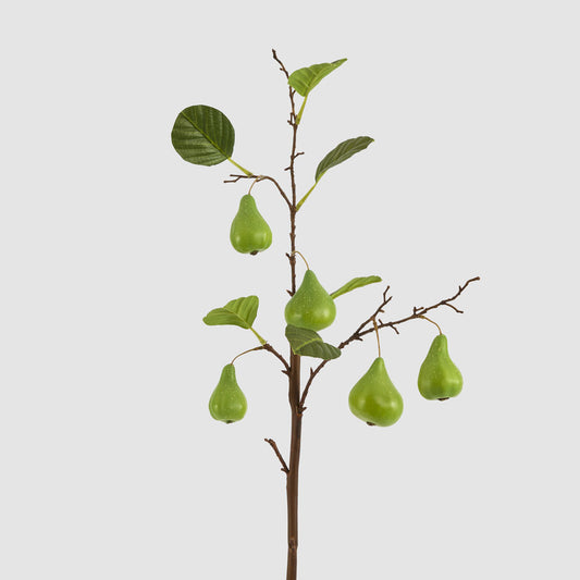 Pear Fruit Spray Green
