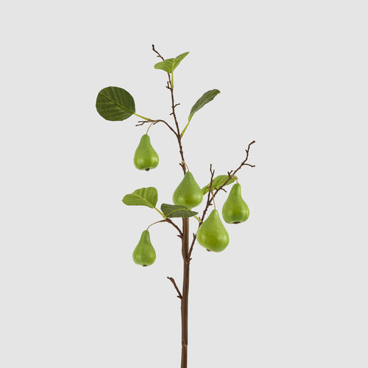 Pear Fruit Spray Green