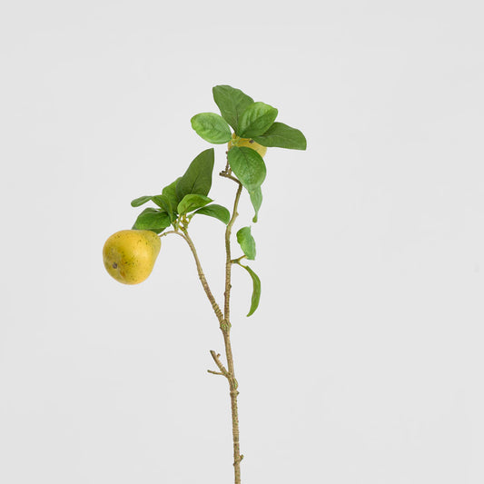 Pears Branch Spray Green 60cm