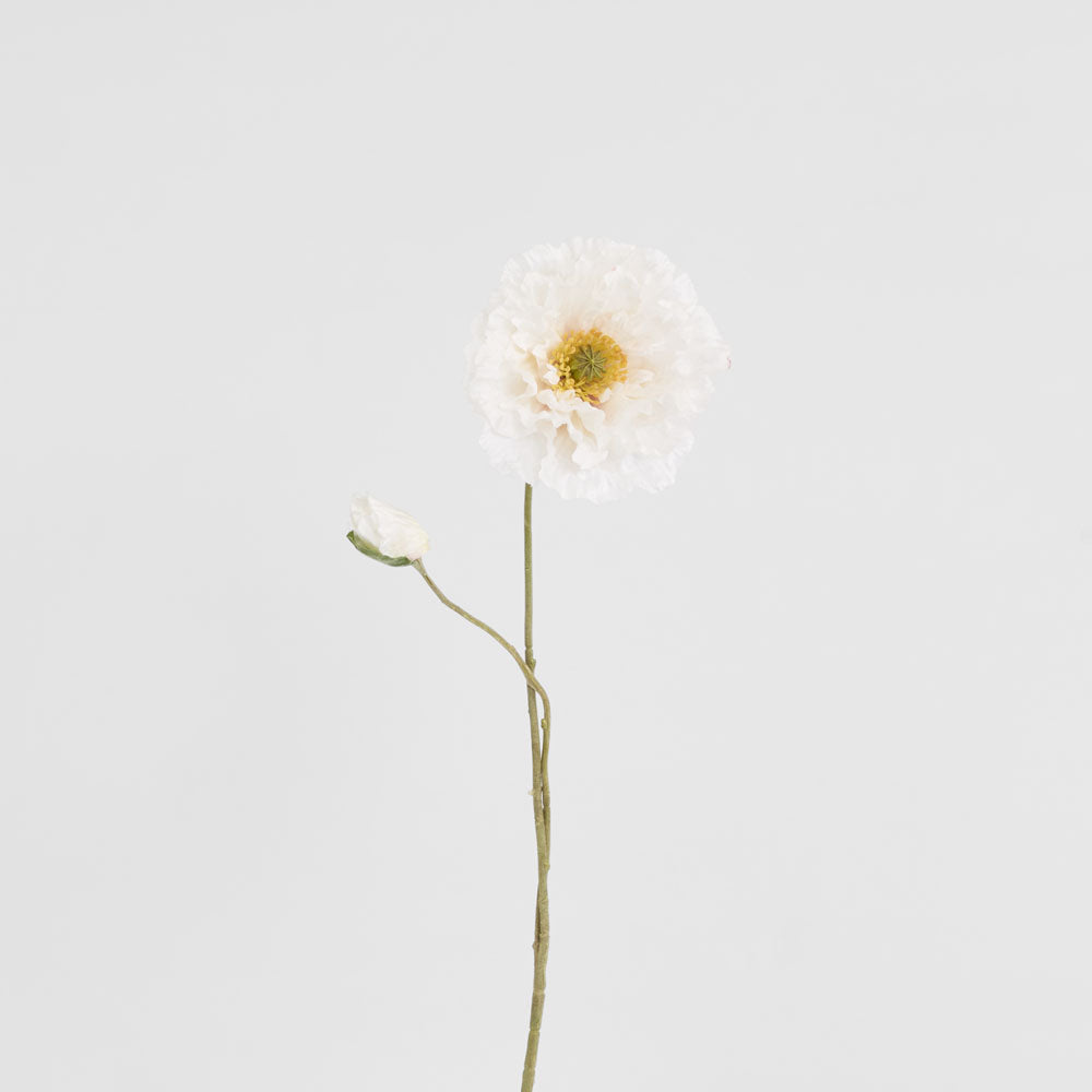 Poppy Stem 75cm White